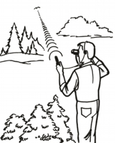 se_forest_1.jpg